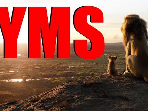 yms lion king review